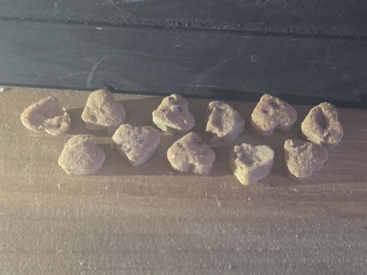 Biscuits Thérapeutiques - Soutien Pelage Saumon et Courge / Chats et Chiens 🐱🐶