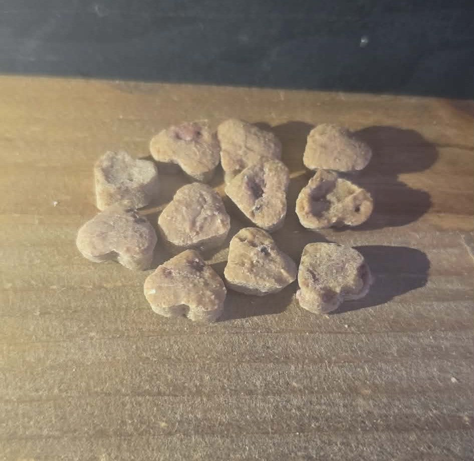 Biscuits Thérapeutiques - Soutien Pelage au Thon et Courge pour chats/chiens