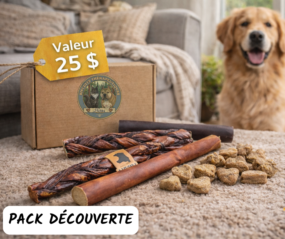 Pack Découverte NESSA