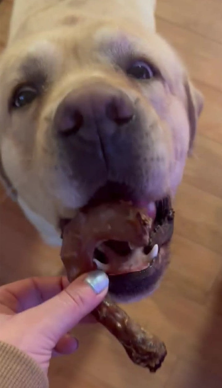 Cou de Dindon Sécher