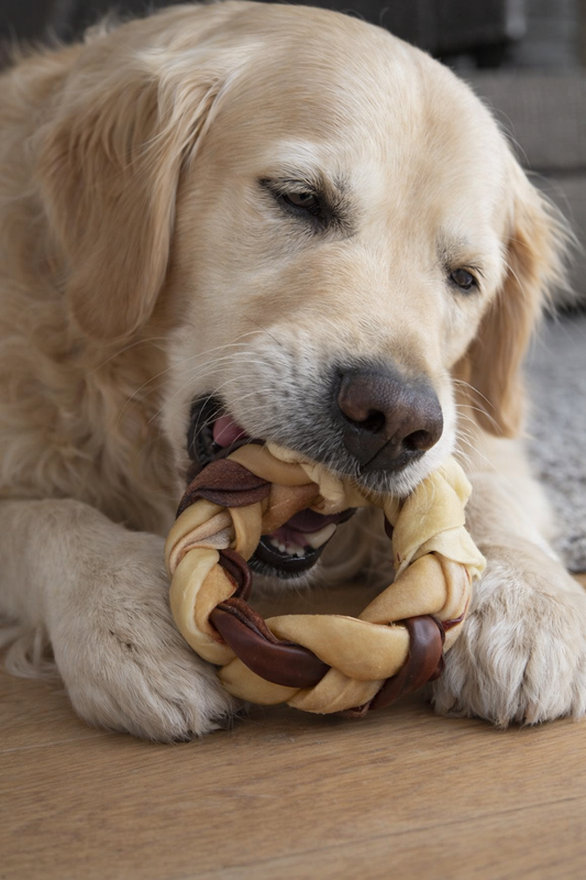 Anneau Collagène tressé