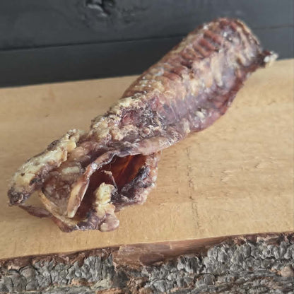 Trachée de Veau 12''