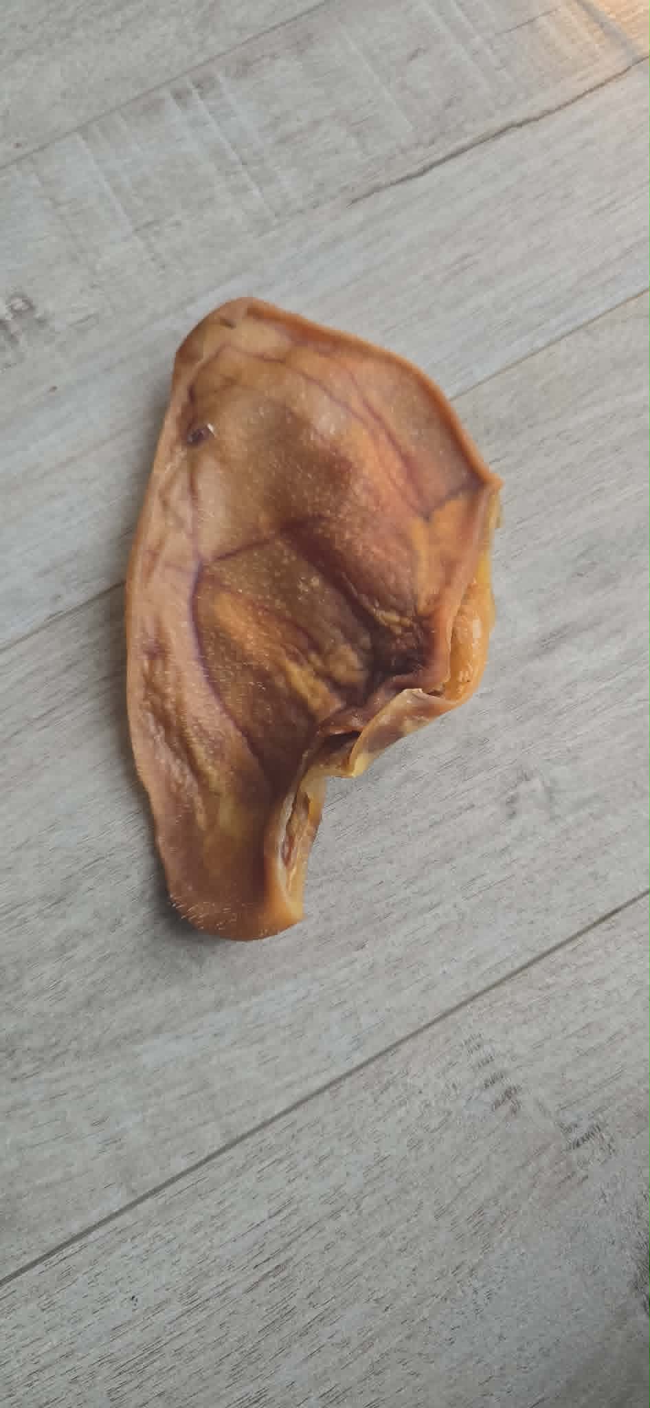 Oreille de Porc
