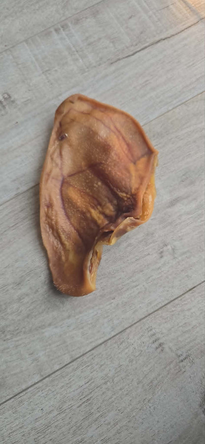 Oreille de Porc