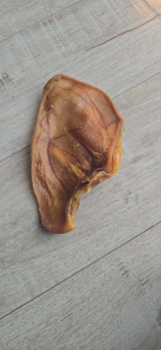 Oreille de Porc