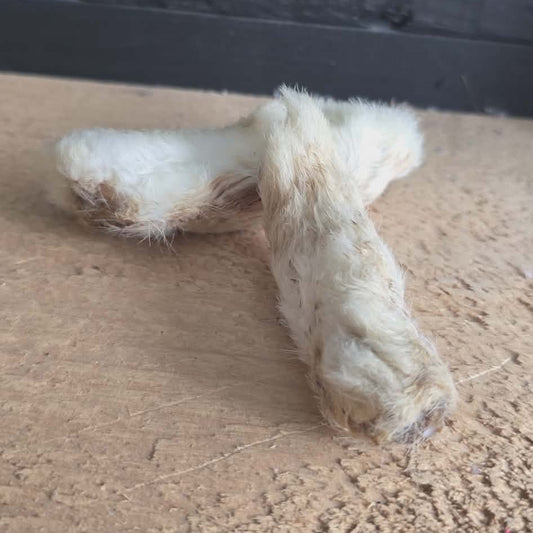 Pattes de Lapin
