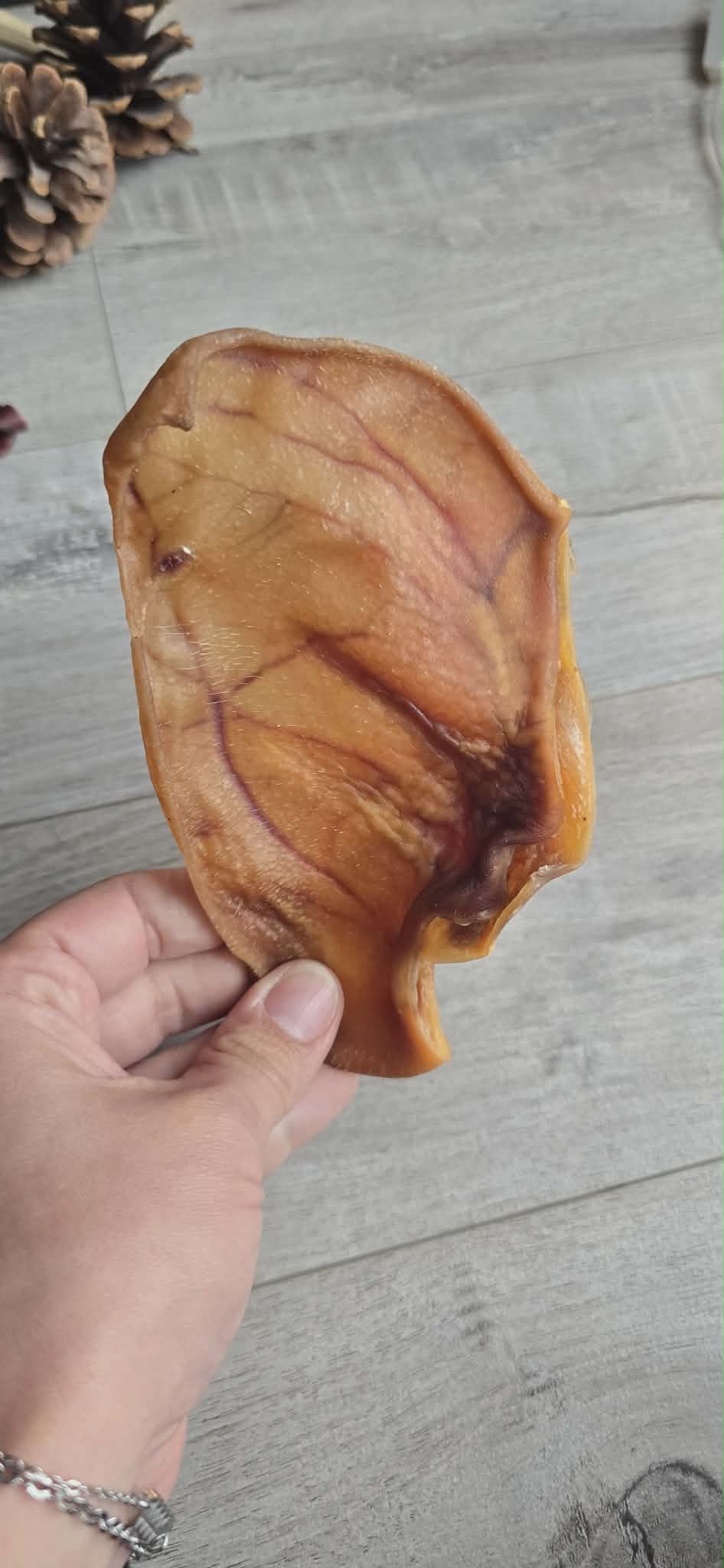 Oreille de Porc